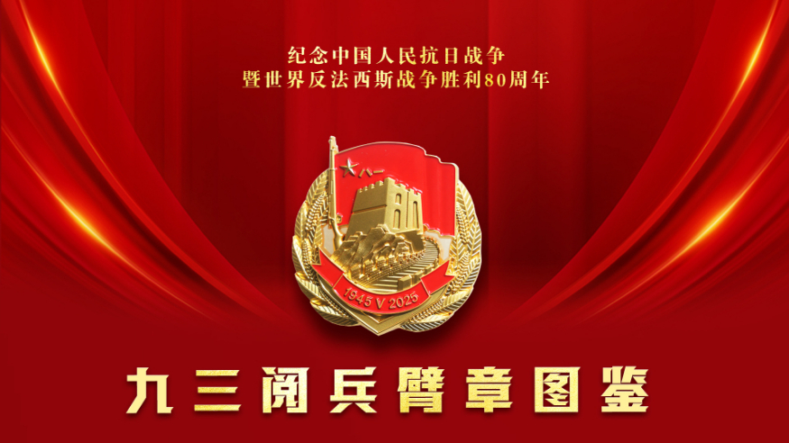 請收藏！九三閱兵臂章圖鑒