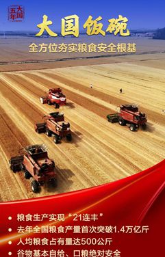 大國飯碗，吃得好端得牢