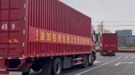 那只&ldquo;跳進(jìn)&rdquo;愛(ài)心蔬菜包的手機咋樣啦？請聽(tīng)刷屏&ldquo;奇遇&rdquo;后續&hellip;&hellip;