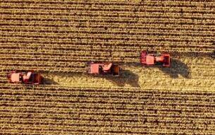 今秋，金秋！