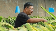 我在高原種火龍果&mdash;&mdash;新農人白恒瑋的生態(tài)農業(yè)經(jīng)