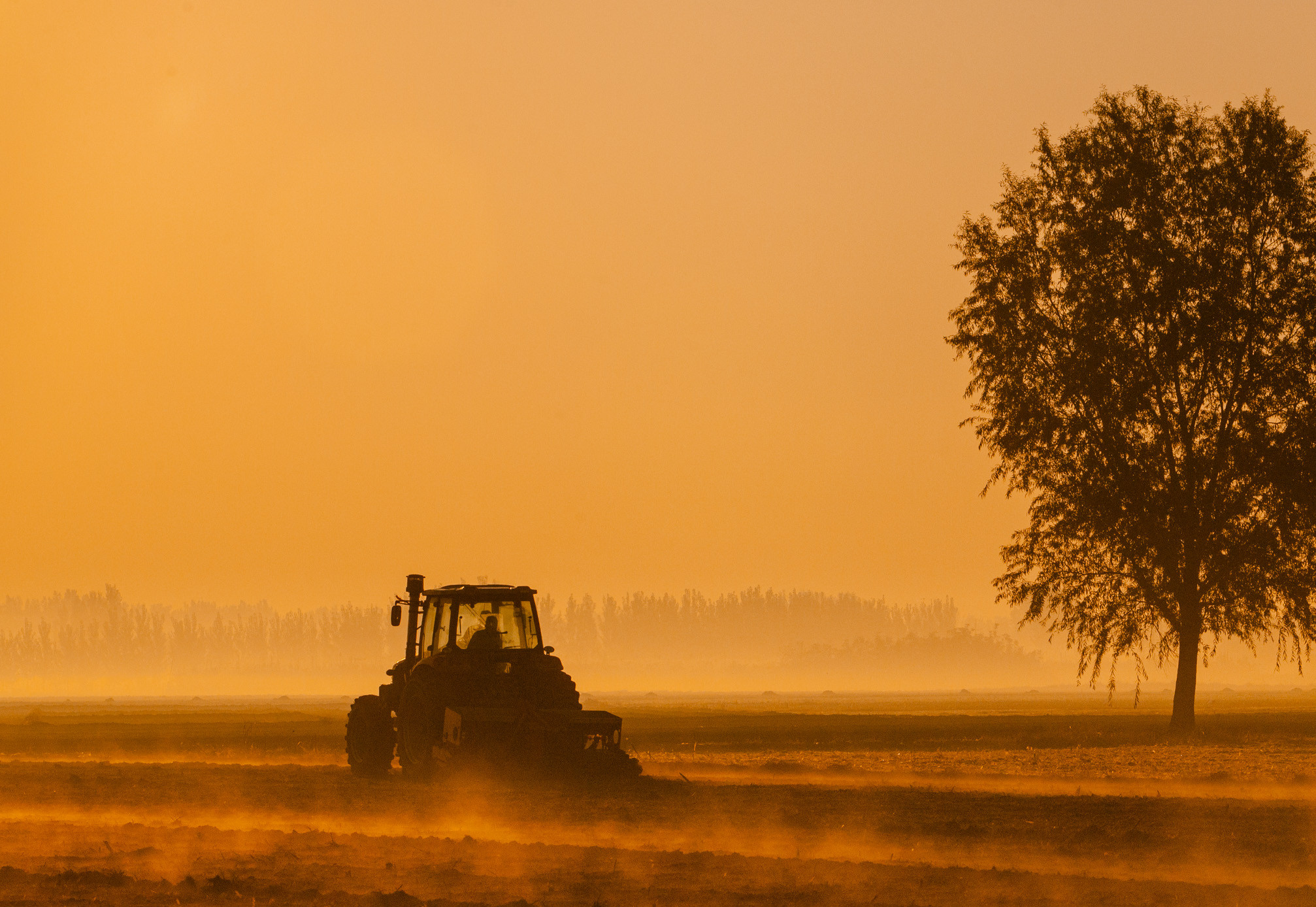 山東農業(yè)信貸擔保公司繪就財金支農惠農“新畫(huà)卷”