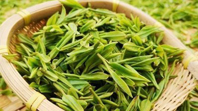 趕黃草專(zhuān)委會(huì )