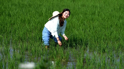 &ldquo;90后&rdquo;新農人的田園創(chuàng  )業(yè)夢(mèng)