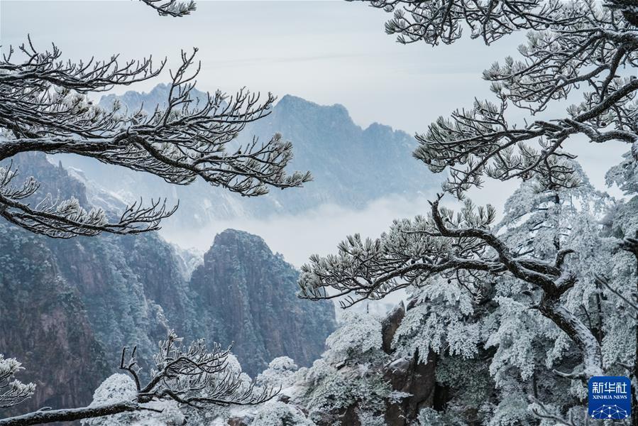 #（鏡觀(guān)中國&middot;新華社國內新聞?wù)掌恢芫x）（1）黃山初春霧凇美