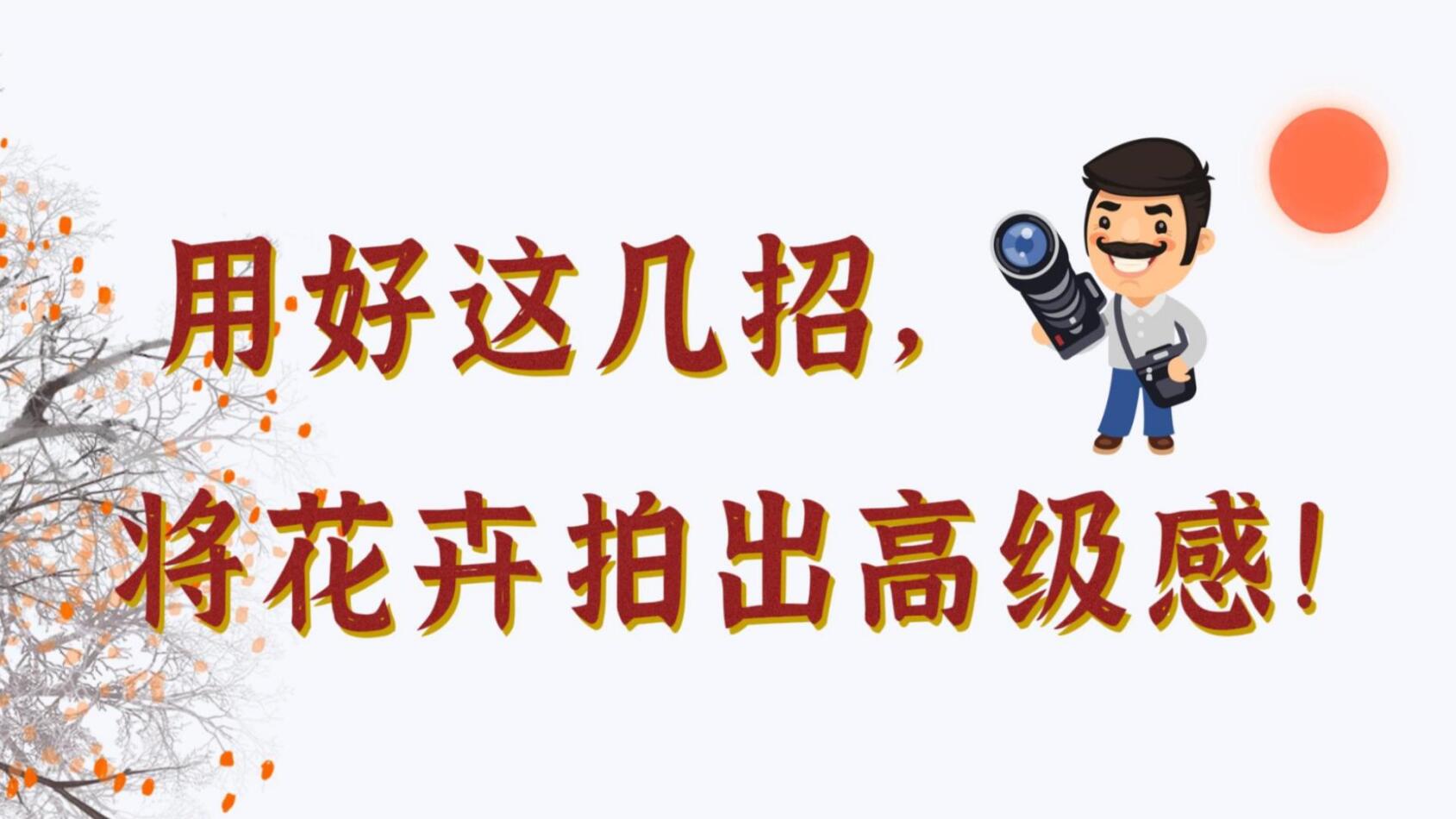 【光影輕課堂】用好這幾招，將花卉拍出高級感！