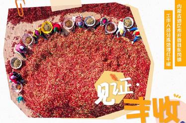 見(jiàn)證&middot;豐收