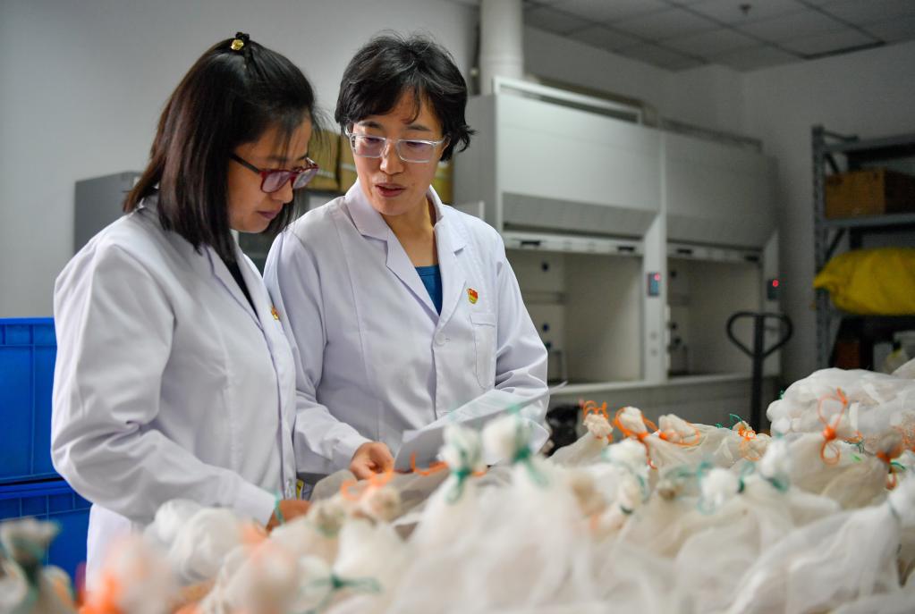 二十大代表在基層丨小麥育種人時(shí)曉偉&mdash;&mdash;科學(xué)育種助力小麥優(yōu)質(zhì)高產(chǎn)