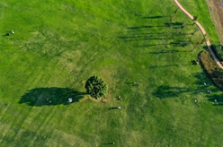 長(cháng)江上游最大江心島的生態(tài)蝶變