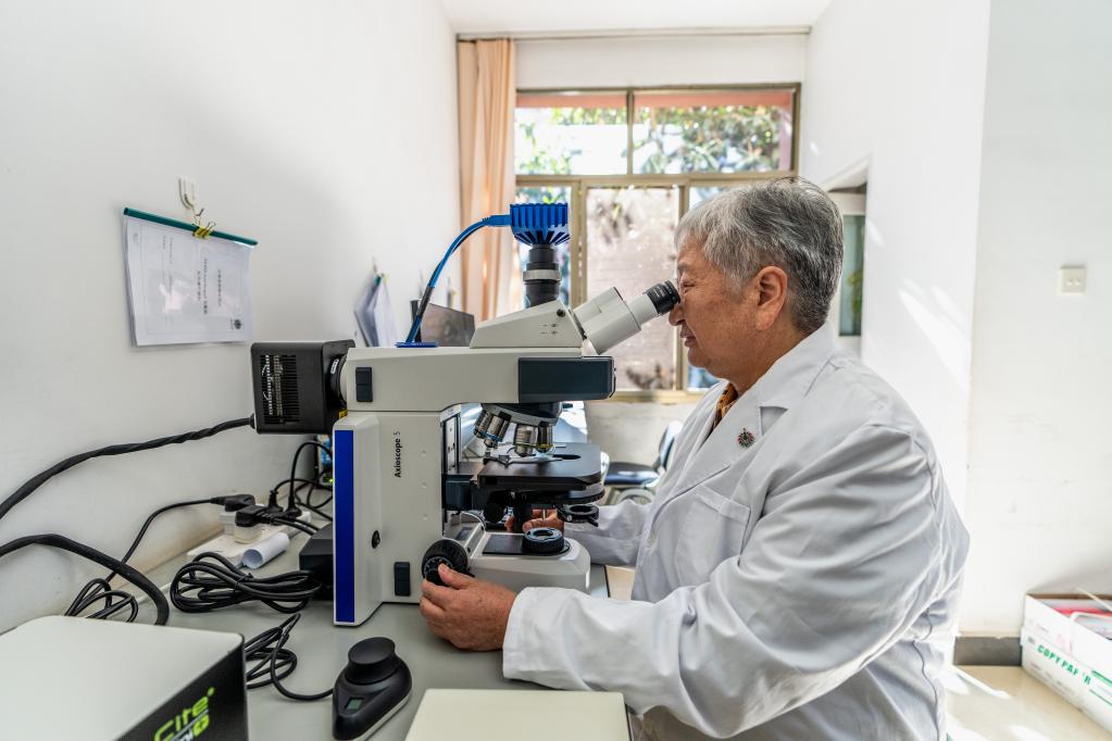 新時(shí)代新征程新偉業(yè)&middot;二十大代表在基層丨朱兆云：以科技創(chuàng  )新推動(dòng)民族藥高質(zhì)量發(fā)展