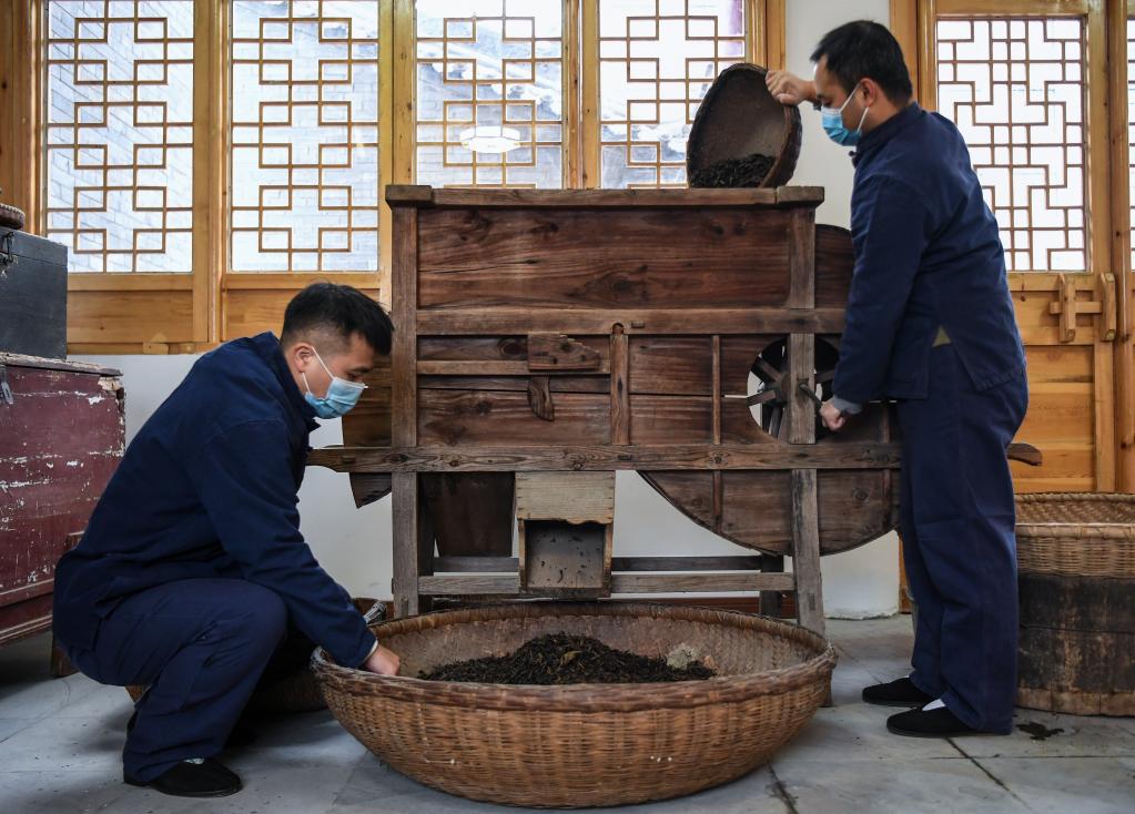 &ldquo;絲路黑金&rdquo;咸陽(yáng)茯茶誕生記