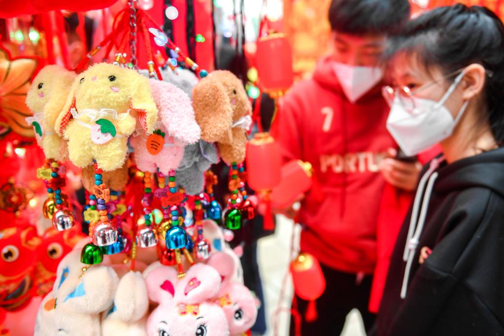 新春走基層｜長(cháng)春：年貨大集人氣旺 紅紅火火過(guò)大年