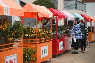 新華全媒+丨海南熱帶花卉交易（拍賣(mài)）市場(chǎng)開(kāi)業(yè)運營(yíng)