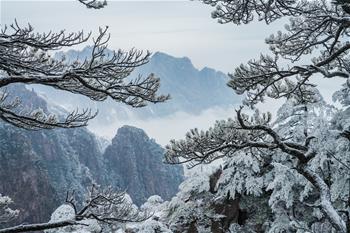 鏡觀(guān)中國&middot;新華社國內新聞?wù)掌恢芫x