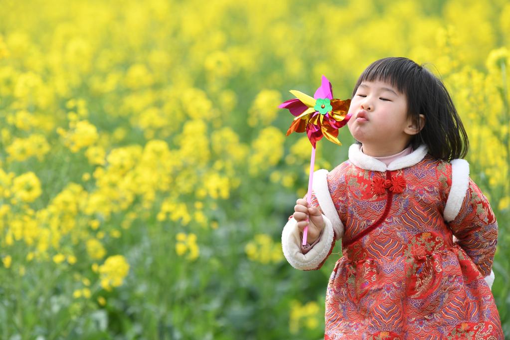 踏青賞花 樂(lè )享春光