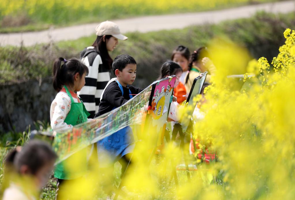 湖南資興：油菜花田&ldquo;畫(huà)春天&rdquo;