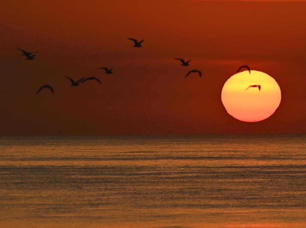 國際&middot;一周看天下