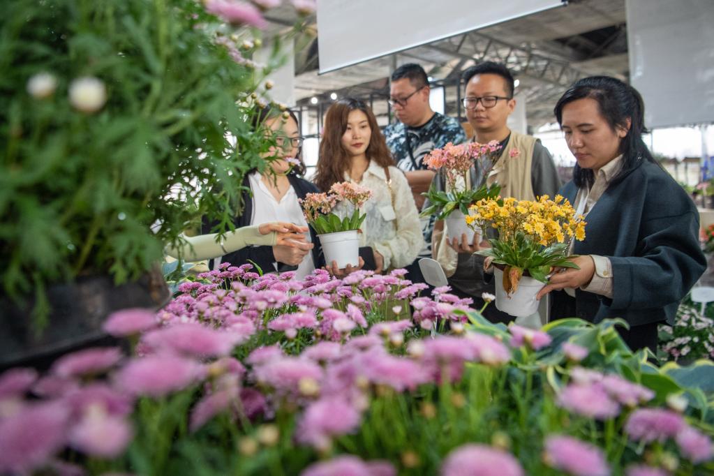 重慶大足：花卉產(chǎn)業(yè)為鄉村振興添香增色