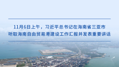高標準建設海南自貿港，習近平總書(shū)記提出明確要求