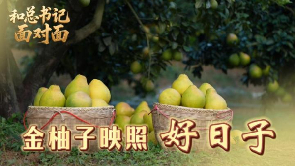 和總書(shū)記面對面丨金柚子映照好日子