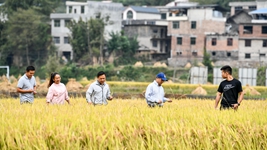 新農人給鄉村振興帶來(lái)哪些新面貌？