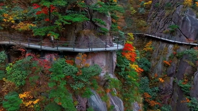 安徽九華山：霜染丹林，感受自然之美