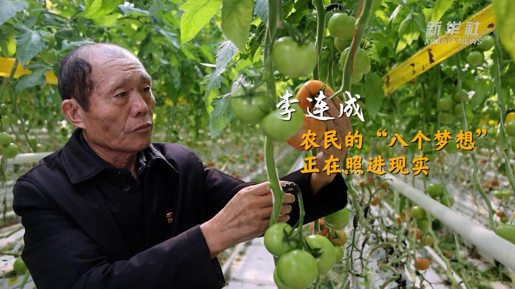 李連成：農民的&ldquo;八個(gè)夢(mèng)想&rdquo;正在照進(jìn)現實(shí)