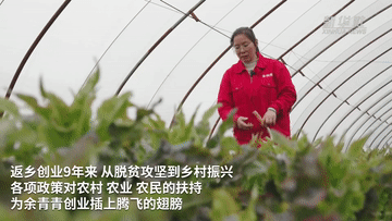 余青青：深耕綠色生態(tài)農業(yè) 引領(lǐng)鄉親增收致富