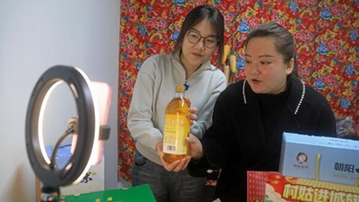 王穎：做 &ldquo;有情懷，會(huì )妙招，富鄉親&rdquo;新時(shí)代返鄉新農人