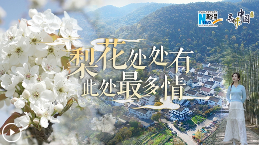 梨花處處有，此處最多情