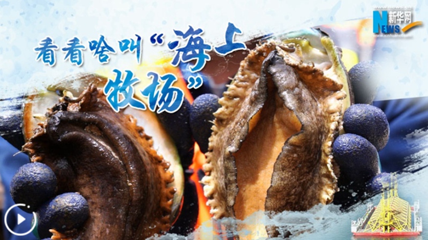 看看啥叫&ldquo;海上牧場(chǎng)&rdquo;