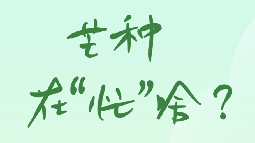 芒種在&ldquo;忙&rdquo;啥？