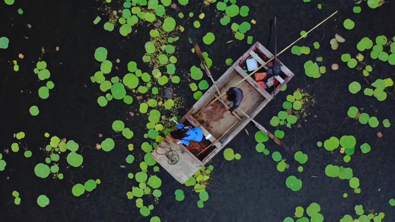 這其實(shí)是濟寧