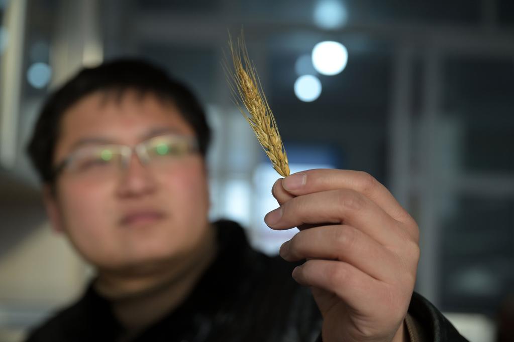 新華全媒+丨返鄉&ldquo;新農人&rdquo;的&ldquo;興農夢(mèng)&rdquo;